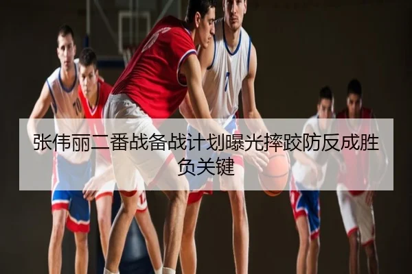 张伟丽二番战备战计划曝光摔跤防反成胜负关键
